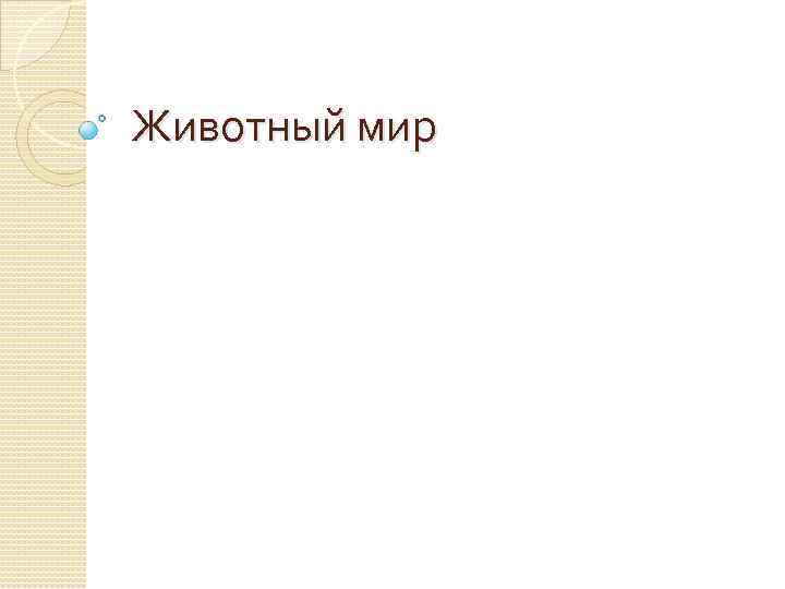 Животный мир 