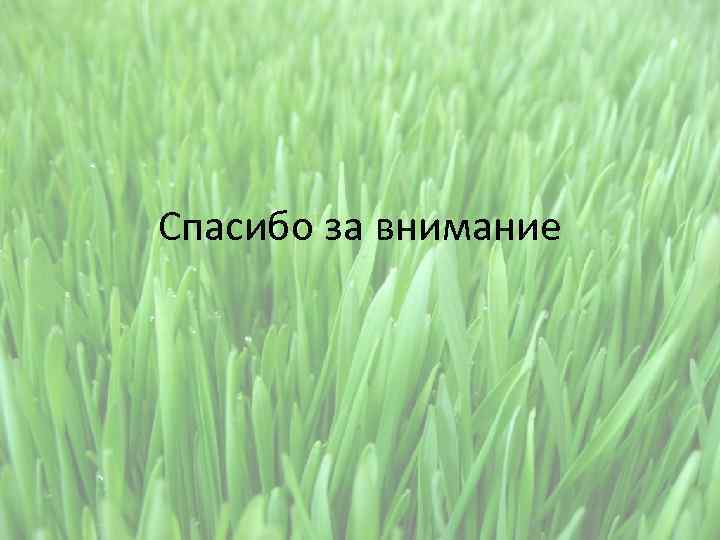Спасибо за внимание 