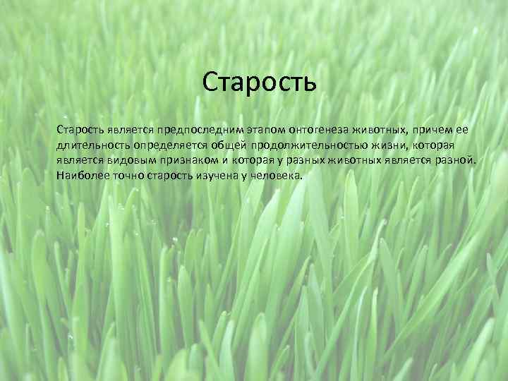 Старость является предпоследним этапом онтогенеза животных, причем ее длительность определяется общей продолжительностью жизни, которая