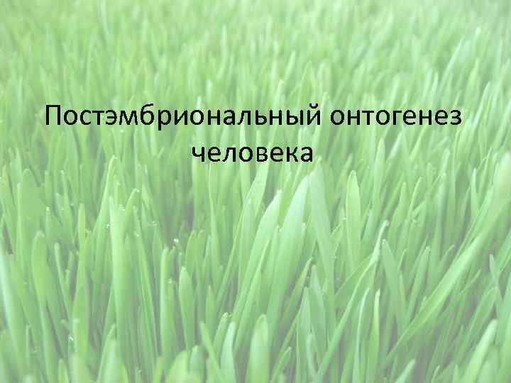 Постэмбриональный онтогенез человека 