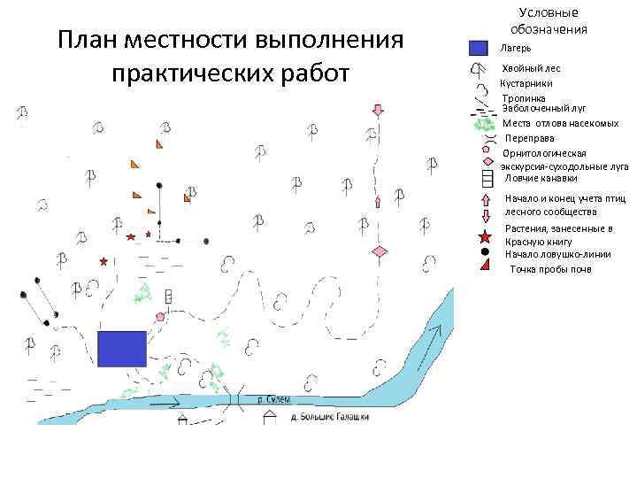 План местности выполнения практических работ Условные обозначения Лагерь Хвойный лес Кустарники Тропинка Заболоченный луг