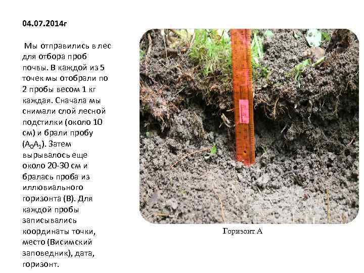 Отбор почв методы. Пробная площадка для отбора проб почвы это. Отбор почвенных проб для агрохимического анализа. Метод отбора почвы. Отбор почвы для исследования.