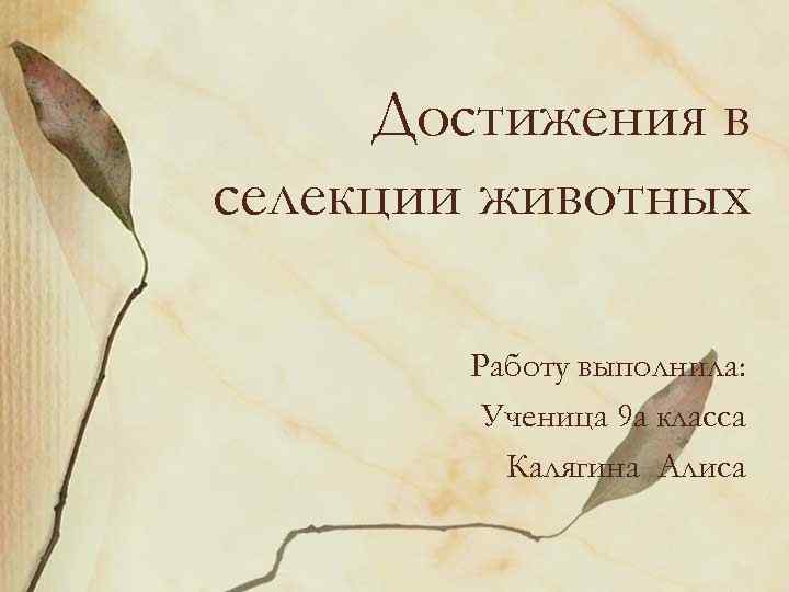 Достижения в селекции животных Работу выполнила: Ученица 9 а класса Калягина Алиса 