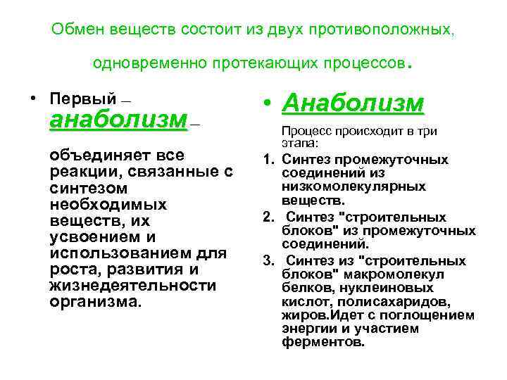 Обмен веществ состоит из двух противоположных, одновременно протекающих процессов • Первый — анаболизм —