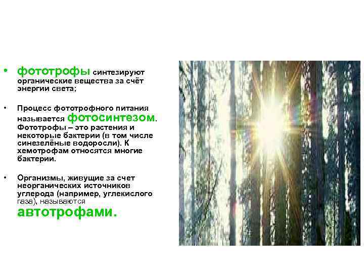  • фототрофы синтезируют органические вещества за счёт энергии света; • Процесс фототрофного питания