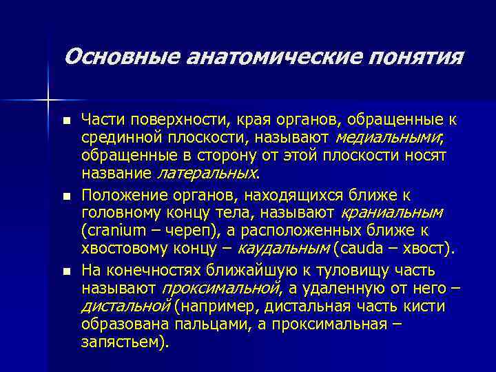 Основные анатомические понятия n n n Части поверхности, края органов, обращенные к срединной плоскости,