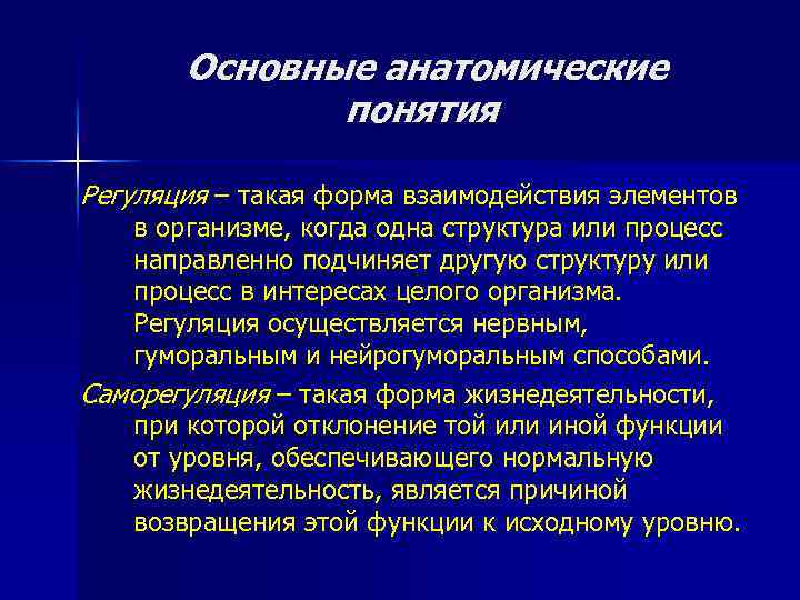 Основные анатомические понятия Регуляция – такая форма взаимодействия элементов в организме, когда одна структура