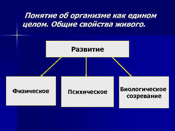 Понятие об организме как едином целом. Общие свойства живого. Развитие Физическое Психическое Биологическое созревание