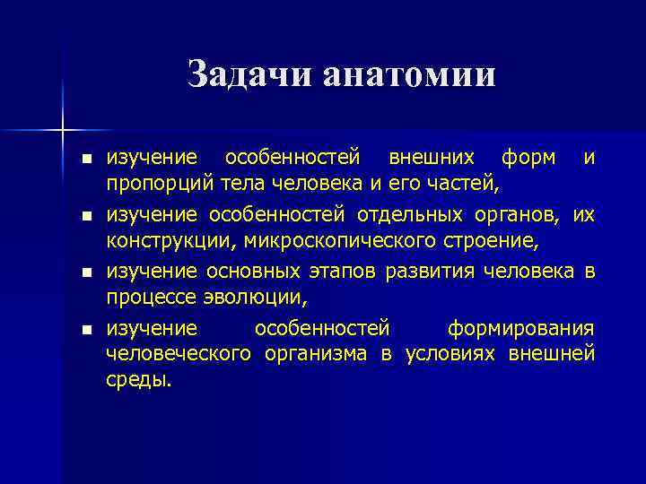 Задачи анатомии n n изучение особенностей внешних форм и пропорций тела человека и его