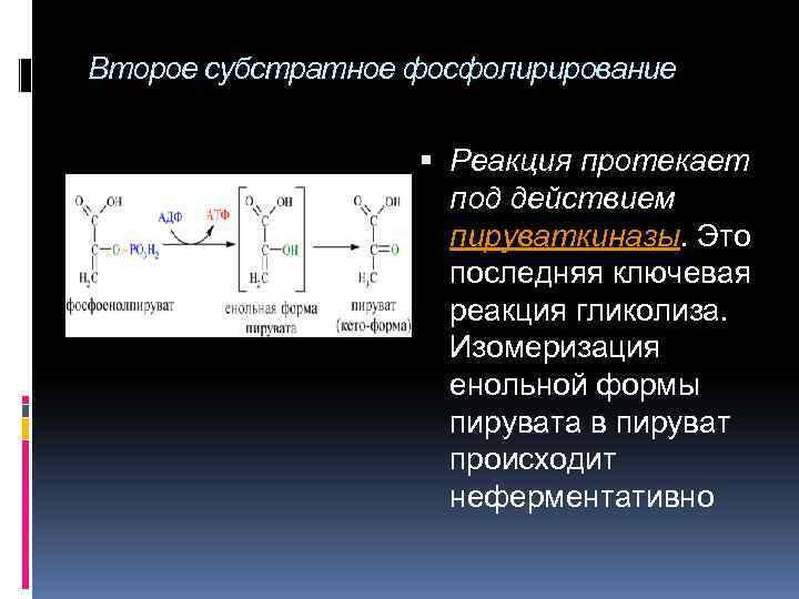 Химизм действия. Изомеризация под действием в12 механизм. Почему енольная форма термодинамически менее стабильна. Что значит Ключевая реакция.