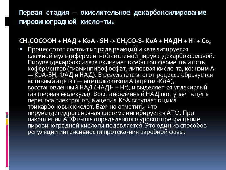 Первая стадия — окислительное декарбоксилирование пировиноградной кисло ты. СН 3 СОСООН + НАД +