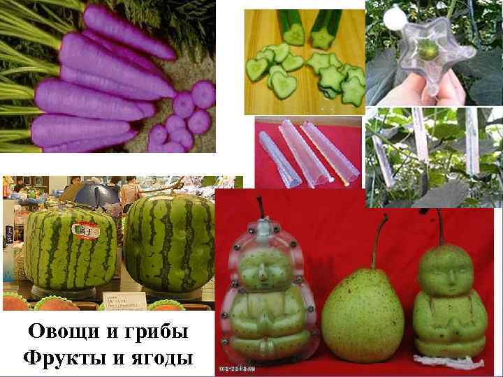 Овощи и грибы Фрукты и ягоды 