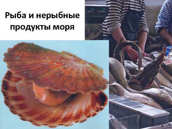 Рыба и нерыбные продукты моря 
