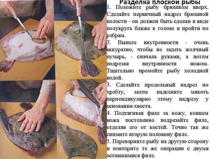 Разделка плоской рыбы 1. Положите рыбу брюшком вверх. Сделайте первичный надрез брюшной полости он