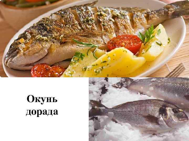 Окунь дорада 