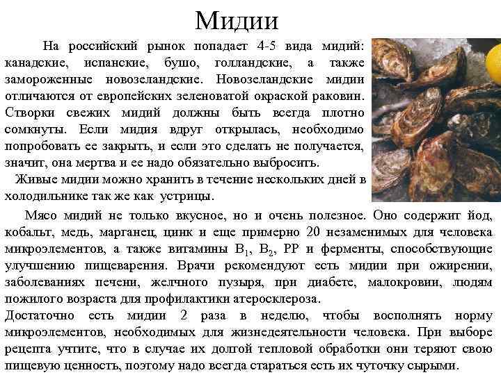 Мидии На российский рынок попадает 4 5 вида мидий: канадские, испанские, бушо, голландские, а