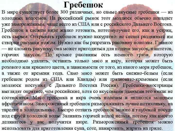 Гребешок В мире существует более 300 различных, но самые вкусные гребешки — из холодных