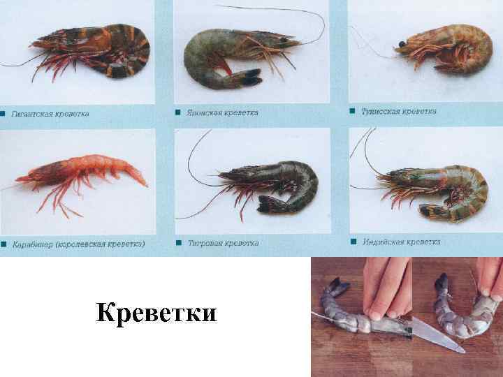 Креветки 