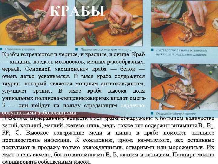 КРАБЫ Крабы встречаются и черные, и красные, и синие. Краб — хищник, поедает моллюсков,