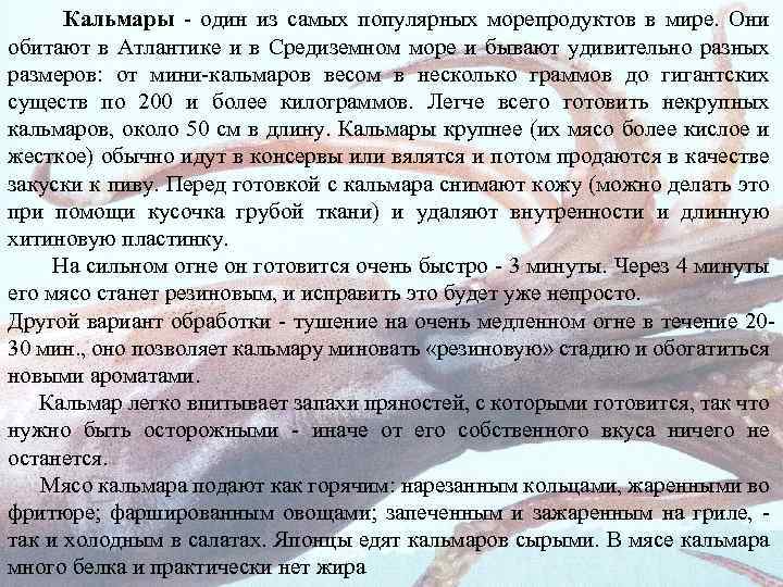 Кальмары один из самых популярных морепродуктов в мире. Они обитают в Атлантике и в