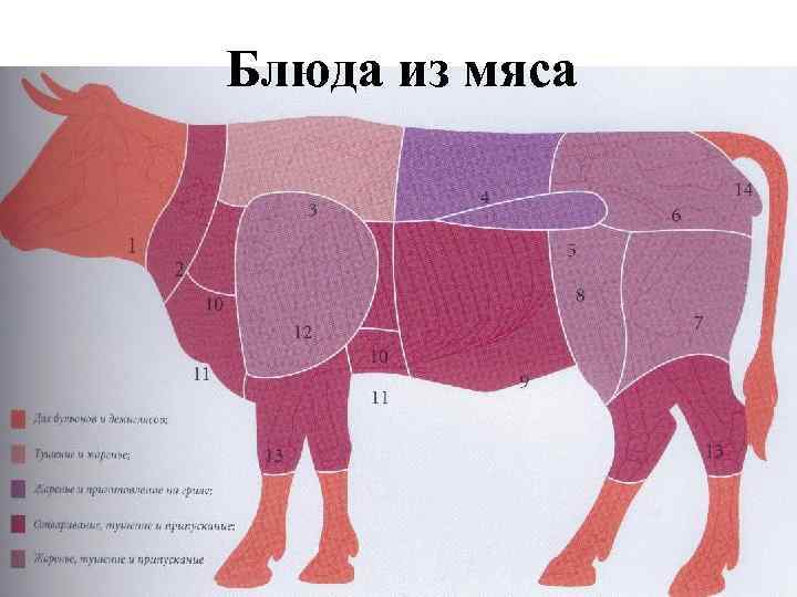 Блюда из мяса 