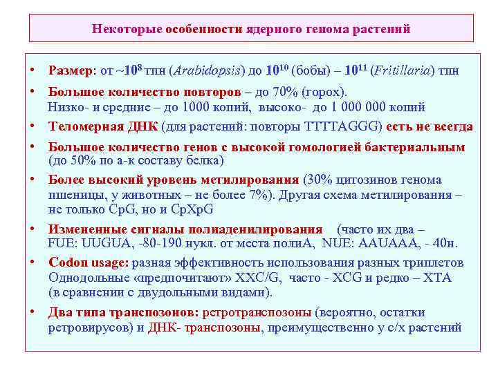 Некоторые особенности ядерного генома растений • Размер: от ~108 тпн (Arabidopsis) до 1010 (бобы)