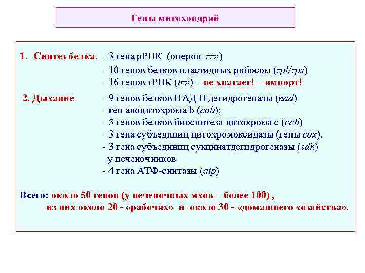 Гены митохондрий 1. Синтез белка. - 3 гена р. РНК (оперон rrn) - 10