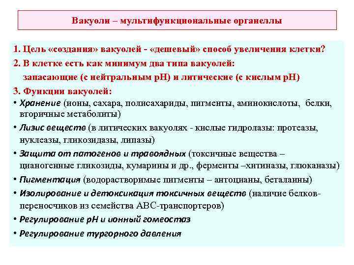 Вакуоли – мультифункциональные органеллы 1. Цель «создания» вакуолей - «дешевый» способ увеличения клетки? 2.