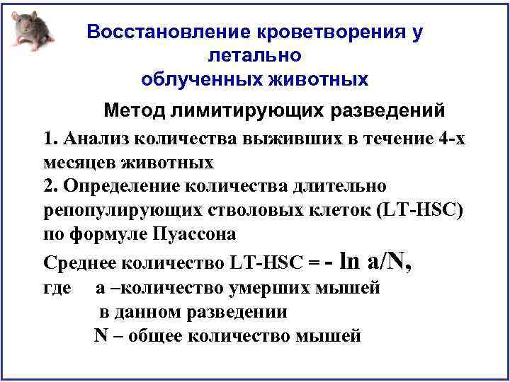 Восстановление кроветворения у летально облученных животных Метод лимитирующих разведений 1. Анализ количества выживших в