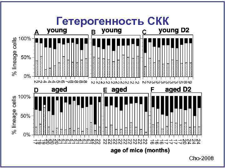 Гетерогенность СКК Cho-2008 