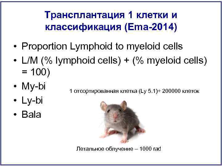 Трансплантация 1 клетки и классификация (Ema-2014) • Proportion Lymphoid to myeloid cells • L/M