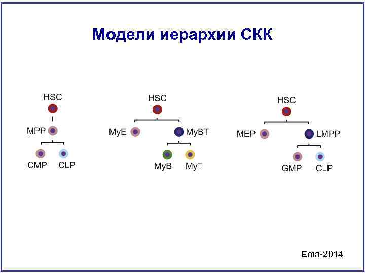 Модели иерархии СКК Ema-2014 