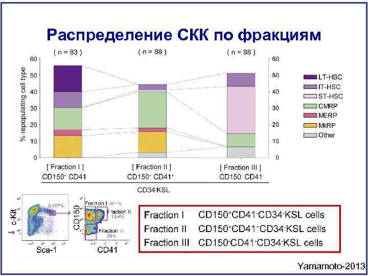 Распределение СКК по фракциям Yamamoto-2013 