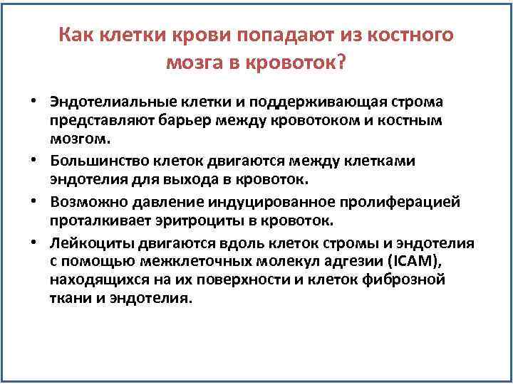 Как клетки крови попадают из костного мозга в кровоток? • Эндотелиальные клетки и поддерживающая