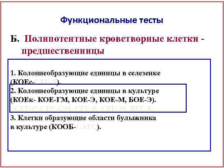 Функциональные тесты Б. Полипотентные кроветворные клетки - предшественницы 1. Колониеобразующие единицы в селезенке (КОЕс-CFU-S).