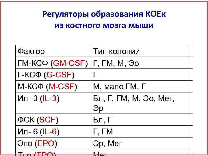 Регуляторы образования КОЕк из костного мозга мыши Фактор ГМ-КСФ (GM-CSF) Г-КСФ (G-CSF) М-КСФ (M-CSF)