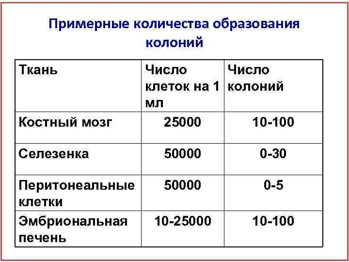 Примерные количества образования колоний Ткань Костный мозг Число клеток на 1 колоний мл 25000