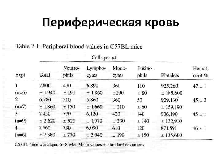 Периферическая кровь 