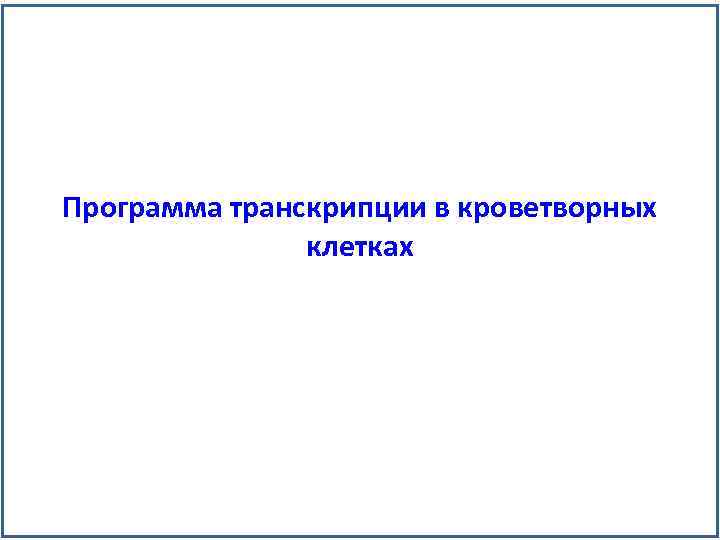 Программа транскрипции в кроветворных клетках 