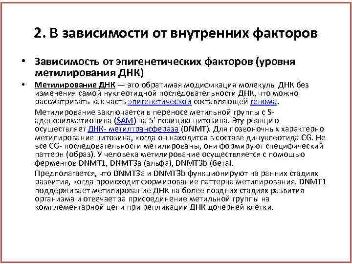 2. В зависимости от внутренних факторов • Зависимость от эпигенетических факторов (уровня метилирования ДНК)