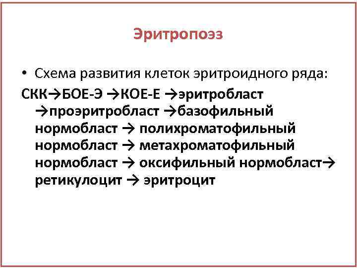 Эритропоэз • Схема развития клеток эритроидного ряда: СКК→БОЕ-Э →КОЕ-Е →эритробласт →проэритробласт →базофильный нормобласт →