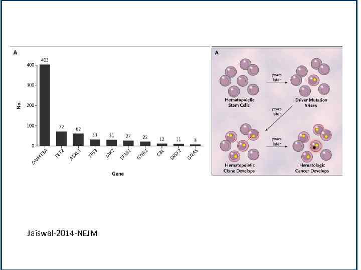 Jaiswal-2014 -NEJM 