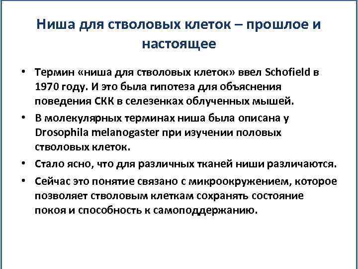 Ниша для стволовых клеток – прошлое и настоящее • Термин «ниша для стволовых клеток»