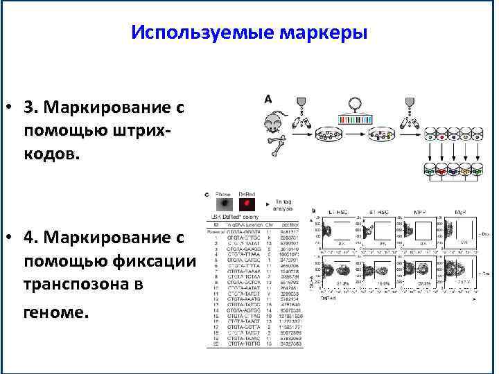 Используемые маркеры • 3. Маркирование с помощью штрихкодов. • 4. Маркирование с помощью фиксации