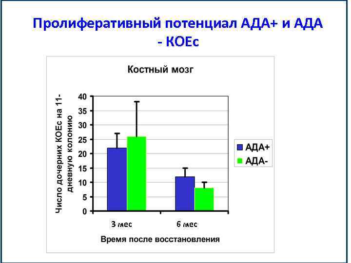 Пролиферативный потенциал АДА+ и АДА - КОЕс 3 мес 6 мес 