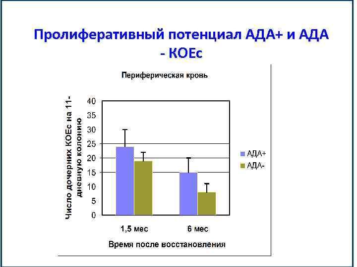 Пролиферативный потенциал АДА+ и АДА - КОЕс 