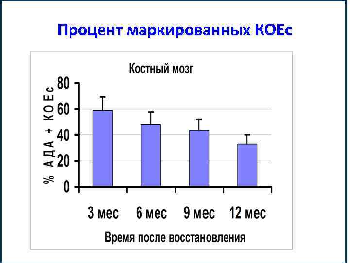 Процент маркированных КОЕс 