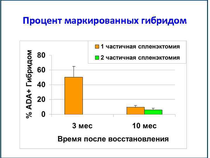 Процент маркированных гибридом 