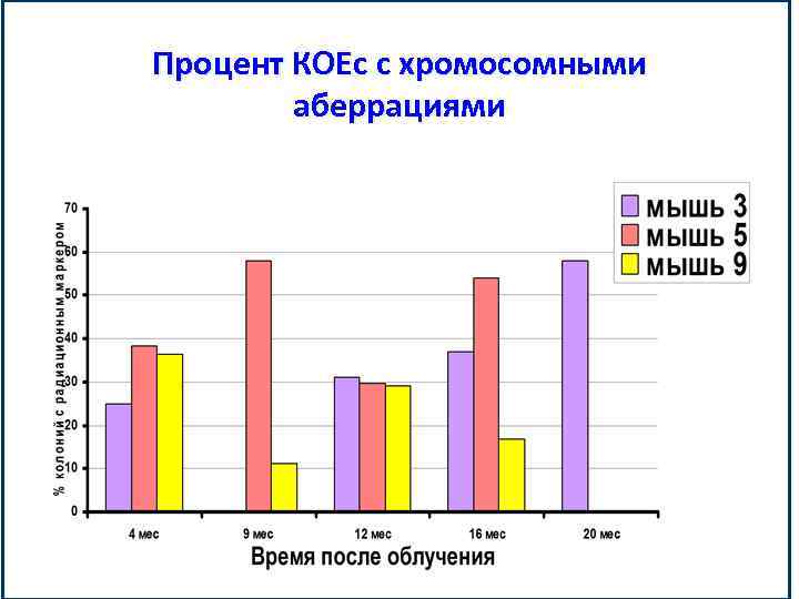 Процент КОЕс с хромосомными аберрациями 