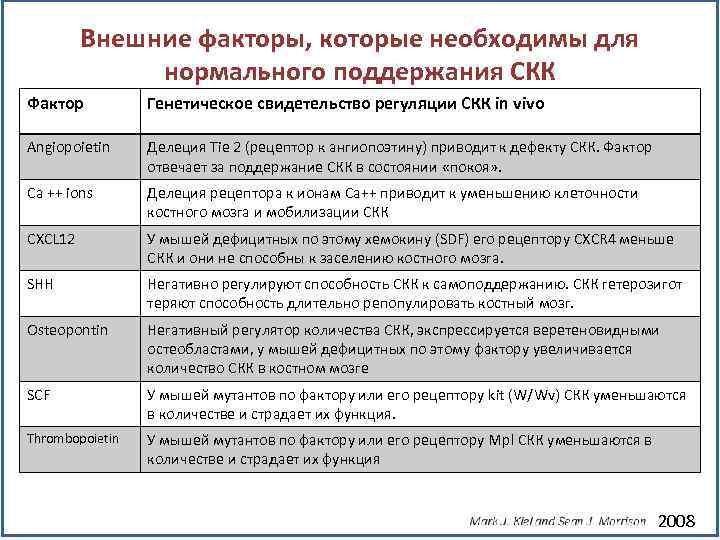 Внешние факторы, которые необходимы для нормального поддержания СКК Фактор Генетическое свидетельство регуляции СКК in